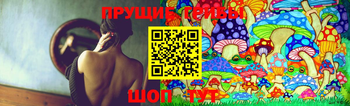 Галлюциногенные грибы мицелий Фролово
